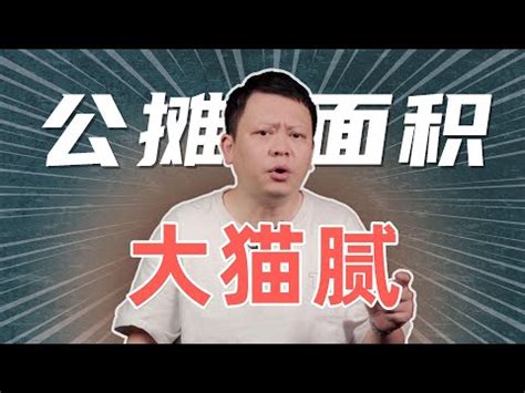 公攤面積台灣|公攤建築面積(公攤面積):公攤範圍,分攤原則,公攤計算,面積明細,非。